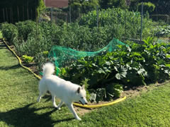 Centro de día huerta