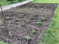 Centro de día huerta