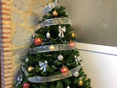 Centro de día navidad